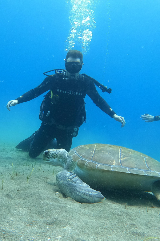 Tenerife south: Scuba Dive for beginners in Adeje - Why this first underwater experience works