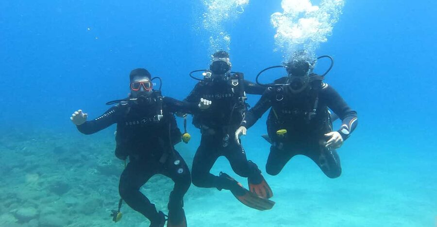 Tenerife south: Scuba Dive for beginners in Adeje - The beginner lesson at 9:00