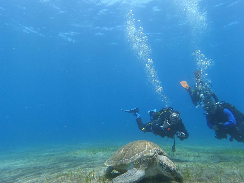Tenerife south: Scuba Dive for beginners in Adeje - Back at the center around 12:30