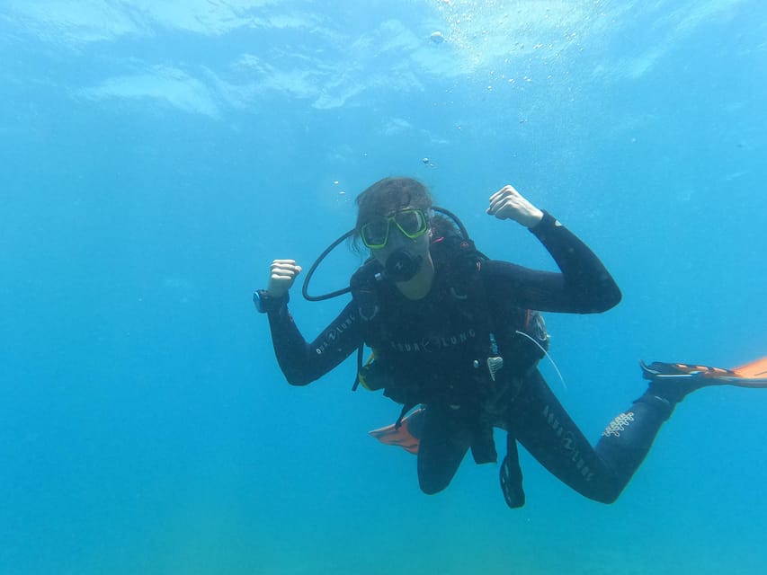 Tenerife south: Scuba Dive for beginners in Adeje - Is $100 good value?