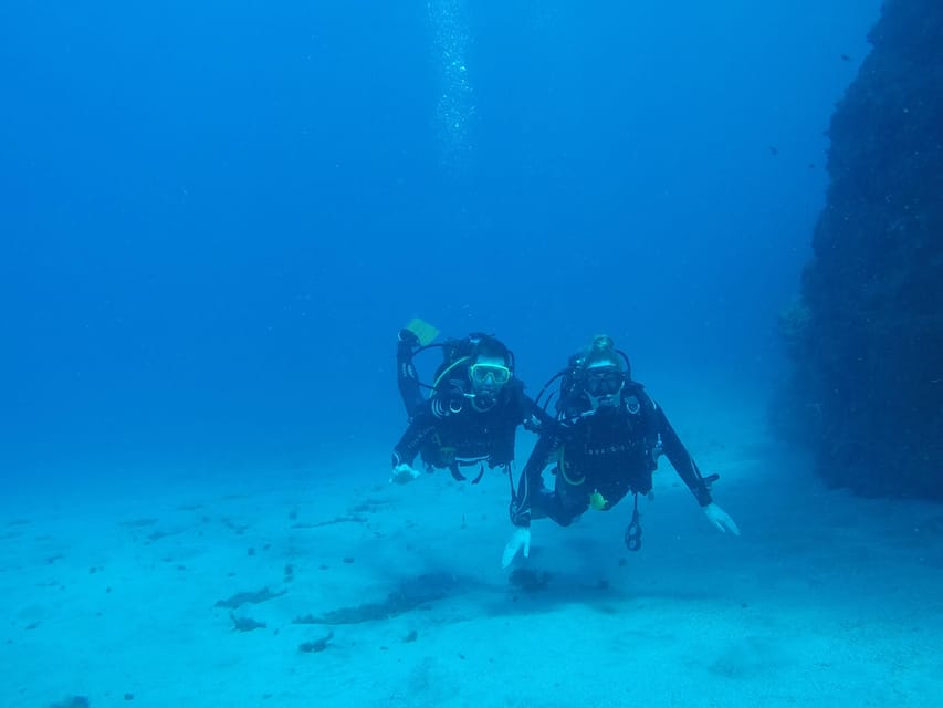 Tenerife south: Scuba Dive for beginners in Adeje - Who should book this session?
