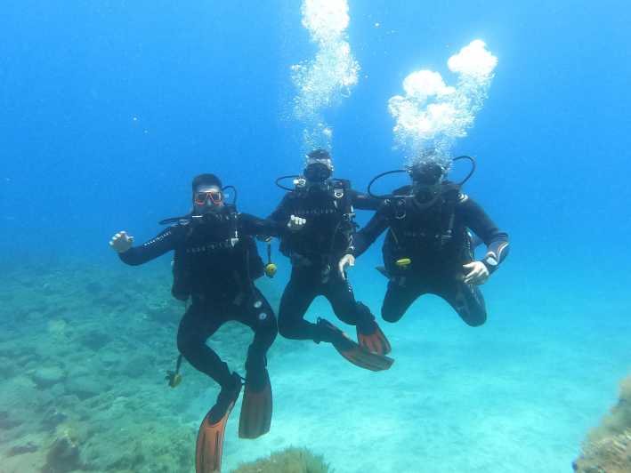 Tenerife south: Scuba Dive for beginners in Adeje - 8:45 at the GF Isabel Hotel