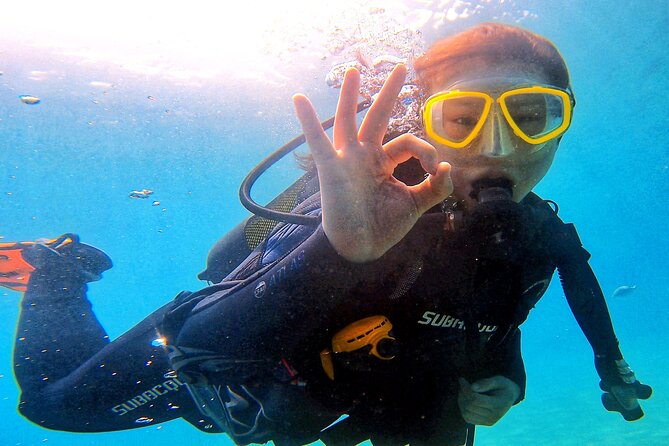 Tenerife Under The Sea - dive into 1-1 personalised experience - What you may see beneath Tenerife’s water