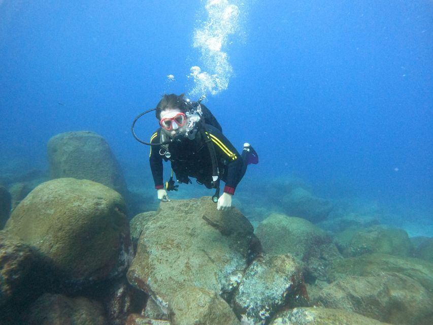 Tenerife: Your First Scuba Diving Experience in Turtle Area - Key points to know before you book