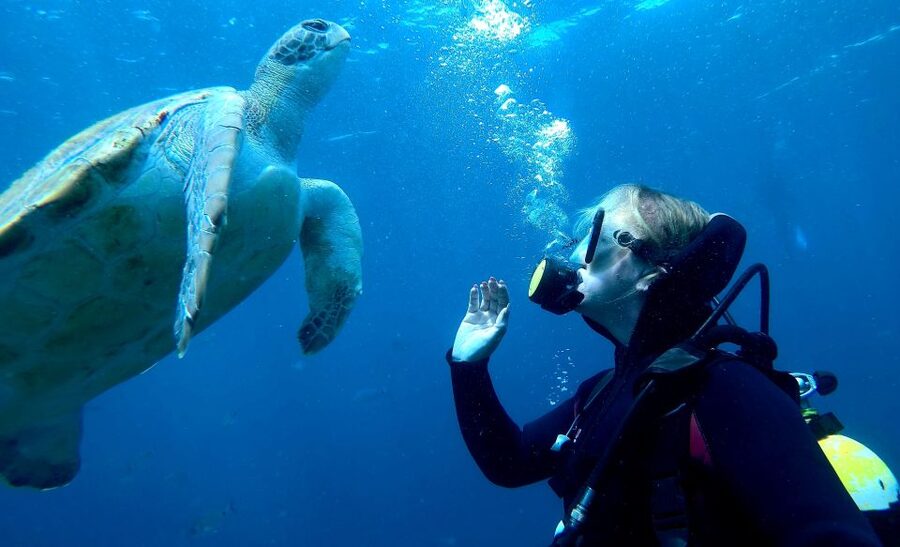 Tenerife: Your First Scuba Diving Experience in Turtle Area - Turtle snorkeling adds a gentler second look