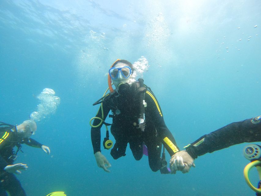 Tenerife: Your First Scuba Diving Experience in Turtle Area - Who will enjoy this Costa Adeje experience most?