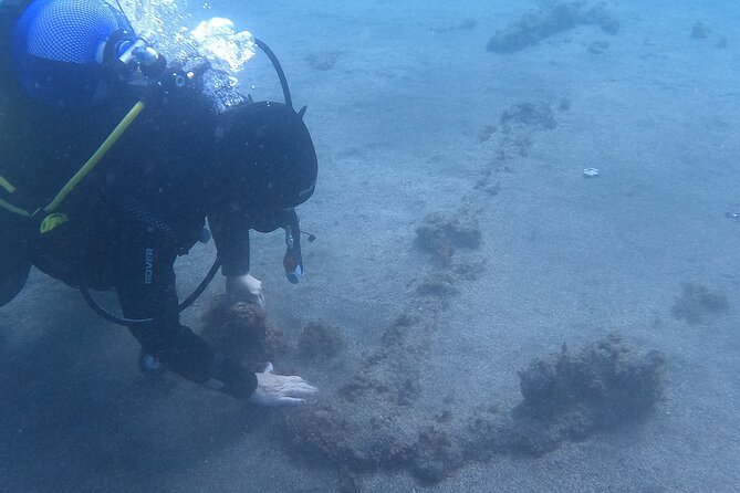 Terceira Azores: Scuba-Double dive Trip(certified Divers) - The safety briefing and equipment check