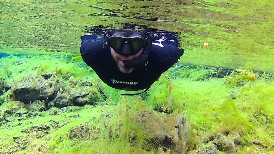 Thingvellir: Silfra Freedive Adevnture with a Guide - Meeting at Thingvellir’s P5 parking lot