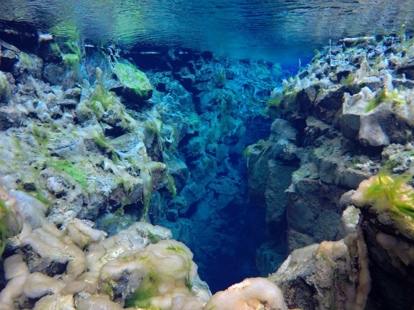 Thingvellir: Silfra Freedive Adevnture with a Guide - The return to the van and hot cocoa