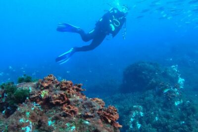 Third Island:Try Scuba in a Shipwreck-Archeological park