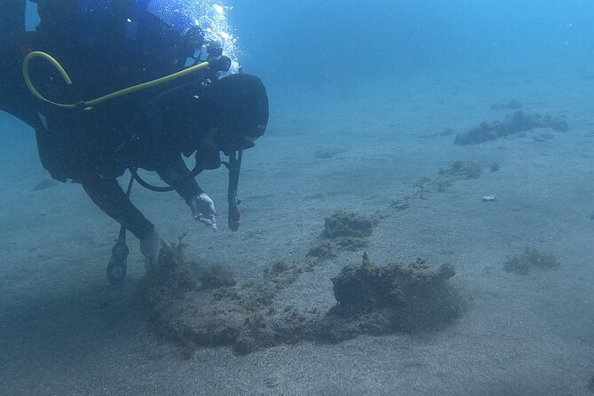 Third Island:Try Scuba in a Shipwreck-Archeological park - Practical booking advice for Terceira