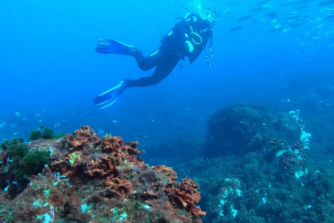 Third Island:Try Scuba in a Shipwreck-Archeological park - Harbor alternative when the weather changes