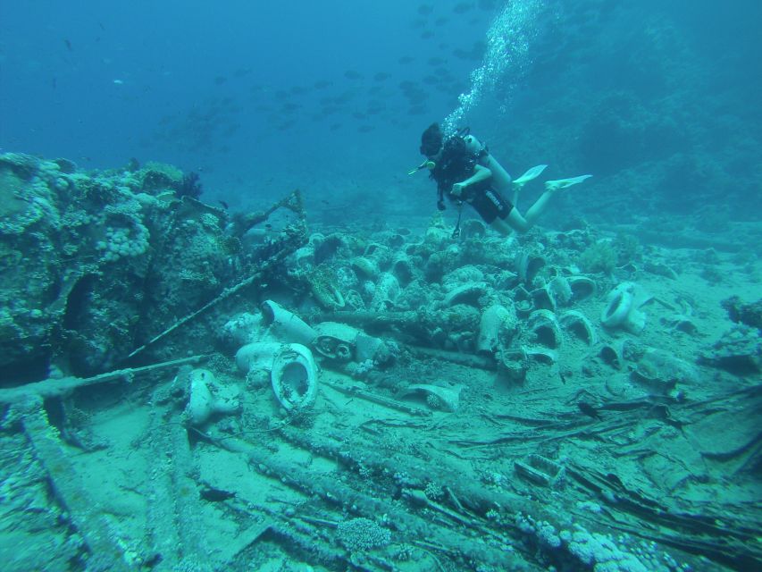 Tiran Island: Full-day Snorkeling, Diving Boat Trip - Coral reefs, fish, and the possible shipwreck