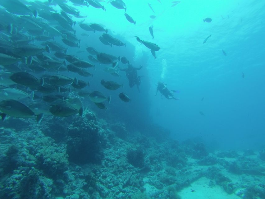 Tiran Island: Full-day Snorkeling, Diving Boat Trip - Lunch, drinks, and life between water stops