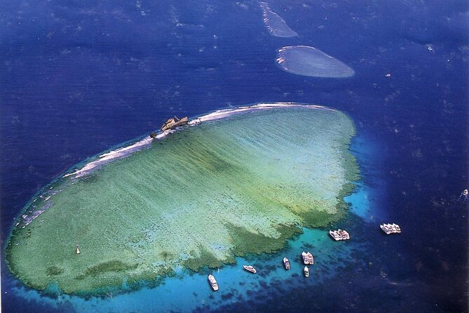 Tiran Island Full Day Snorkeling Sea Trip & intro dive 15 min - Sharm El Sheikh - Why Tiran Island makes a good snorkeling day