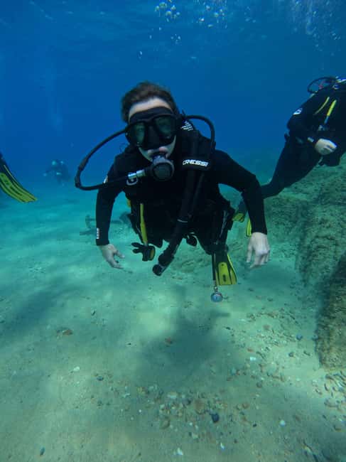 Tossa de Mar: PADI Discovery Scuba Diving in Costa Brava - Up to an hour among fish, octopus, and seahorses