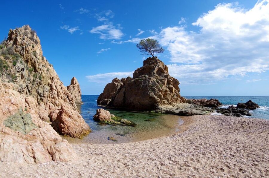 Tossa de Mar: PADI Scuba Diver Certification Course - What the PADI Certification Means for Your Day
