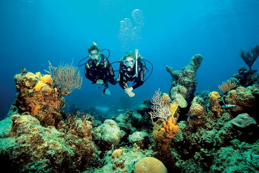 Tossa de Mar: Scuba Diving Experience for Beginners - Key points for your first underwater session