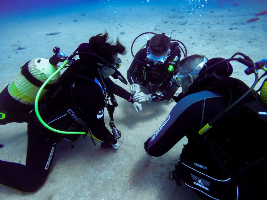 Tossa de Mar: Scuba Diving Experience for Beginners - The instructor makes or breaks the experience