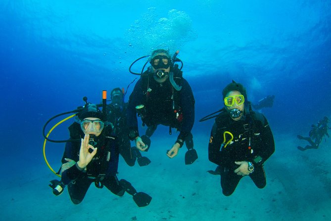 Tossa de Mar Scuba Diving PADI - Fish, octopus, and possible seahorses