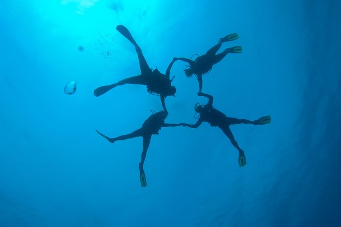 Tossa de Mar Scuba Diving PADI - How the guides shape the experience