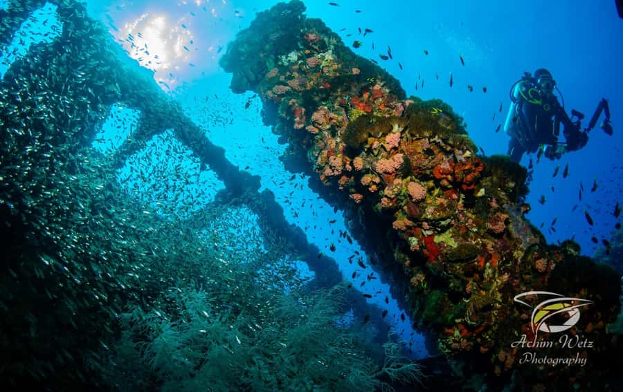 Townsville or Magnetic Island: Yongala Wreck Dive Day Trip - Key points at a glance