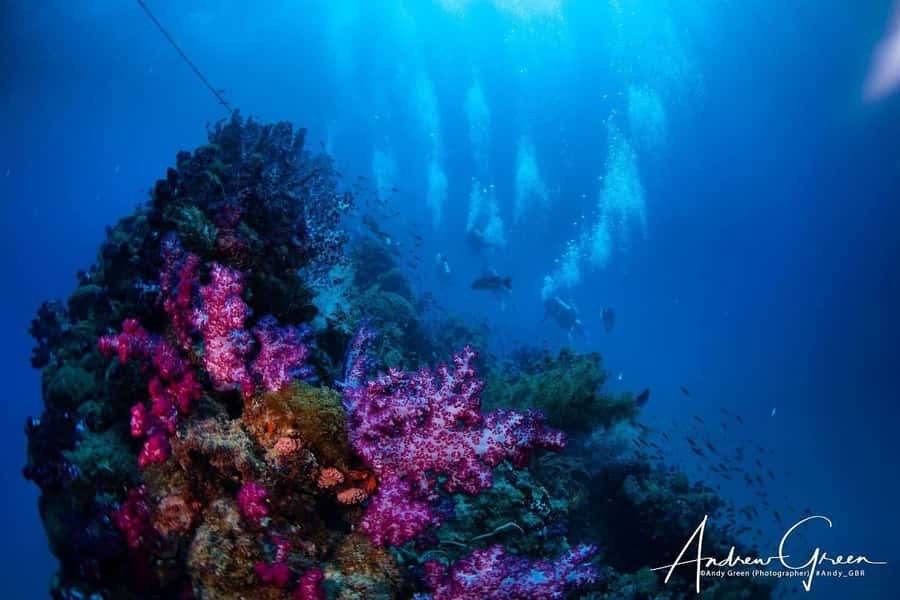 Townsville or Magnetic Island: Yongala Wreck Dive Day Trip - The three-hour boat journey
