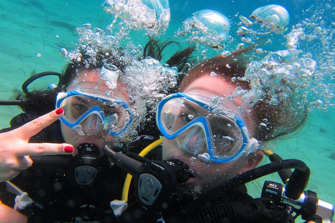 Try a DIVE, discover scuba diving in Mykonos - Key points at a glance