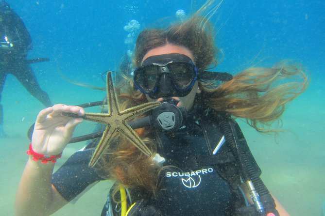 Try a DIVE, discover scuba diving in Mykonos - What your 90 minutes at Lia Beach looks like