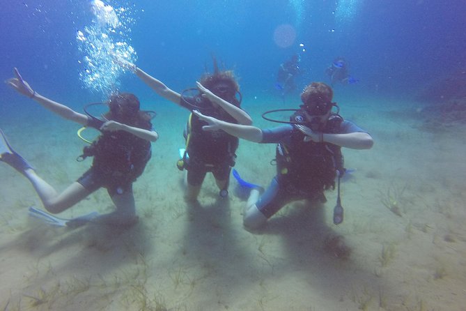 Try a DIVE, discover scuba diving in Mykonos - What is included for the $193.57 price