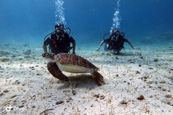 Try a Scuba Diving Experience - Free photos and videos add real value