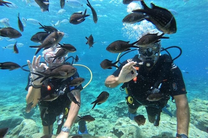 Try a Scuba Diving Experience - Price, group size, and overall value