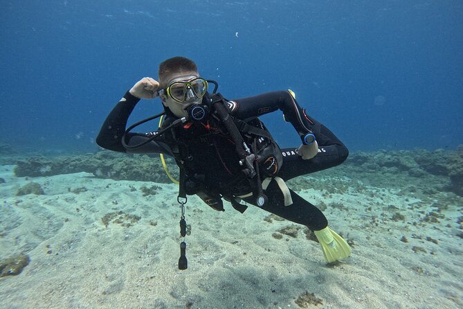 Try Dive in Abades Bay with a private instructor - What to do after the session