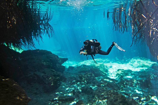 Try dive in beautiful Casa cenote for 2 people - Key points to know before booking