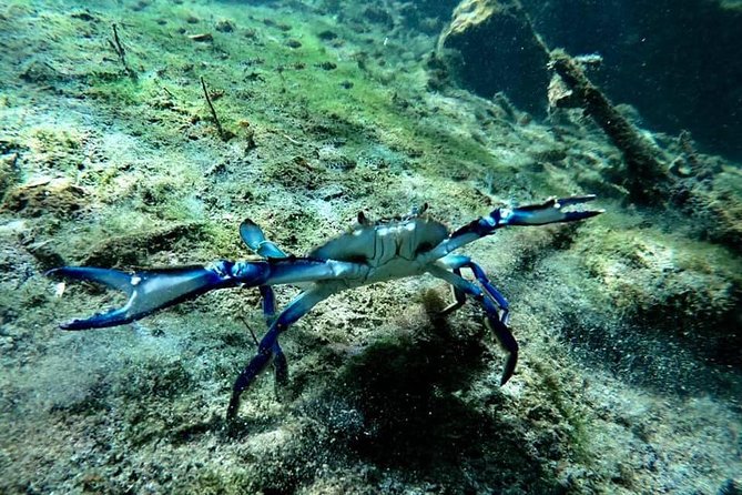 Try dive in beautiful Casa cenote for 2 people - What Casa Cenote feels like underwater