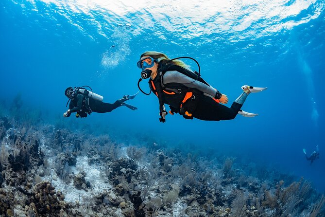 Try Dive - PADI Discover Scuba Diving in Tenerife - What this Tenerife try-dive really offers