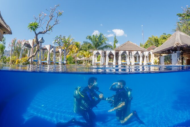 Try Dive Program in the Biorock Pemuteran - What happens during the 2.5-hour program