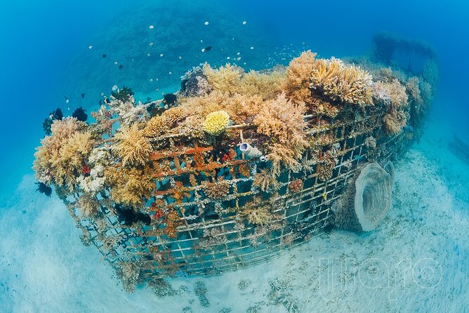 Try Dive Program in the Biorock Pemuteran - Equipment, comfort, and what the price covers