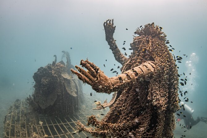 Try Dive Program in the Biorock Pemuteran - What you may see at the Biorock