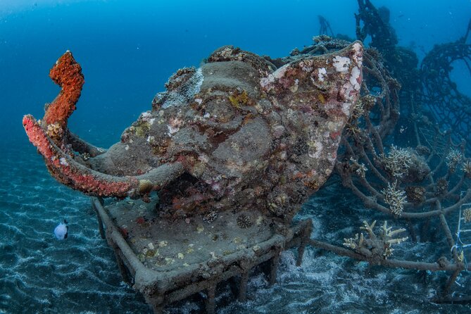 Try Dive Program in the Biorock Pemuteran - Practical details that affect your day