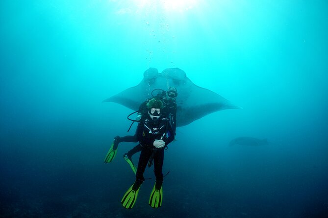 Try Dive with Manta Rays in Bali - The speedboat crossing to Nusa Penida