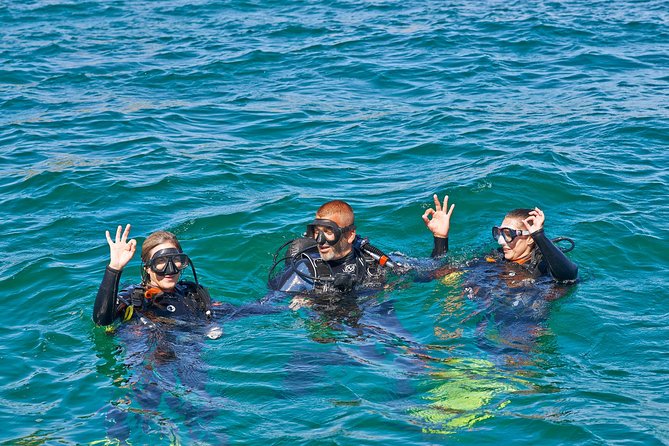 Try Dives - Discover Scuba Diving in Albufeira - From Albufeira Marina to the Atlantic Reef