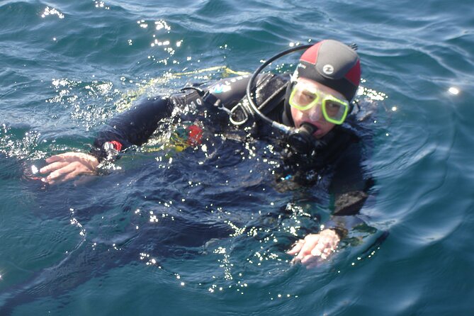 Try Dives - Discover Scuba Diving in Albufeira - The Theory Session Comes Before the Fun