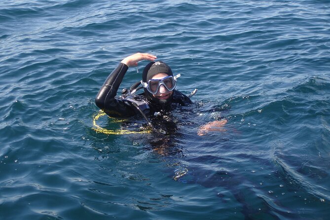 Try Dives - Discover Scuba Diving in Albufeira - Equipment, Showers, and the SSI Certificate