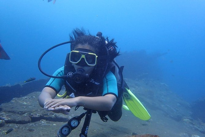 Try Diving at USAT Liberty Wreck Tulamben with 1 or 2 Dives (Stay In Tulamben) - The 8 am start in Tulamben