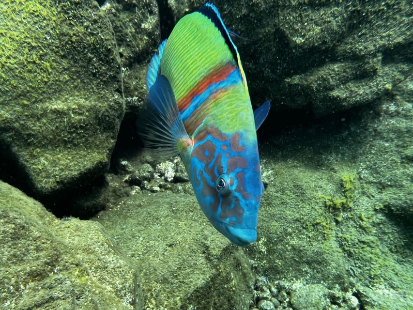 Try diving for the first time in turtle area - Learning the basics before entering the water