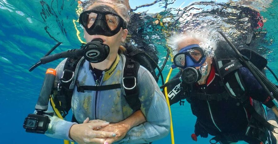 Try diving for the first time in turtle area - Photos and videos after the session