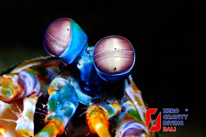 Try Diving in Blue Lagoon Padangbai Bali for non-certified divers - What the $180 price includes