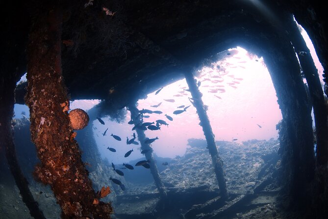 Try Diving in Tulamben - Shipwreck - Key points to know before booking