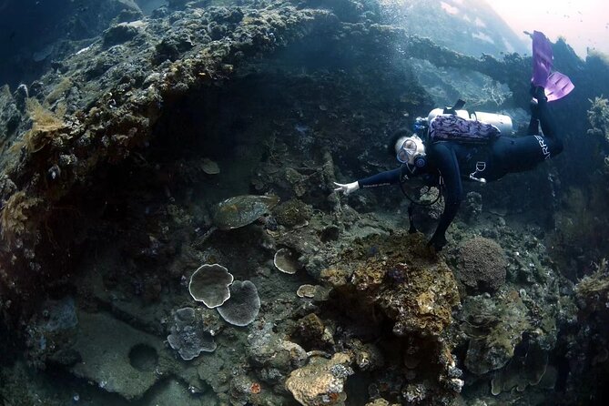 Try Diving in Tulamben - Shipwreck - Is $240 per person fair?